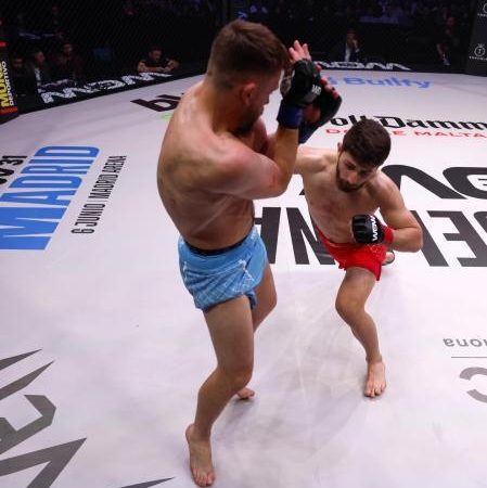 The Triumphal Return Of The Menorcan Colt In Badalona