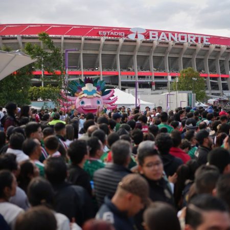 Fan Loses Life in Fatal Fall Before World Cup Opening Match