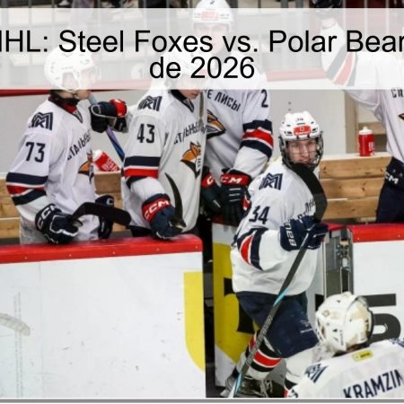 MHL Prediction: Steel Foxes Vs. Polar Bears