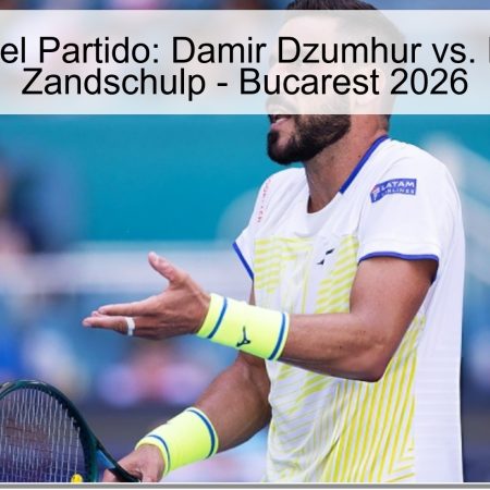 Match Prediction: Damir Dzumhur Vs. Botik Van De Zandschulp