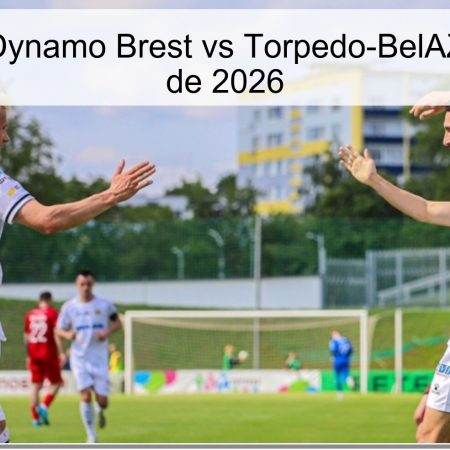 Dynamo Brest Vs Torpedo-BelAZ Prediction