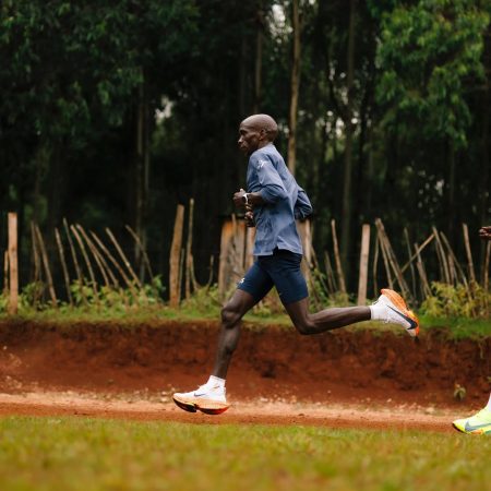 Magic or Science? Deciphering the Flight of Champions