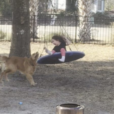 A Viral Phenomenon That Conquers Hearts