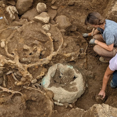 The Best Kept Secret of Pre-Roman Britain Discovered in Yorkshire
